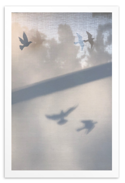 SADDLE+SEA POSTCARDS