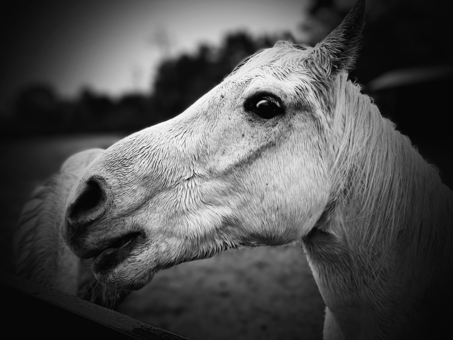 INTO THE SOUL SERIES 1A